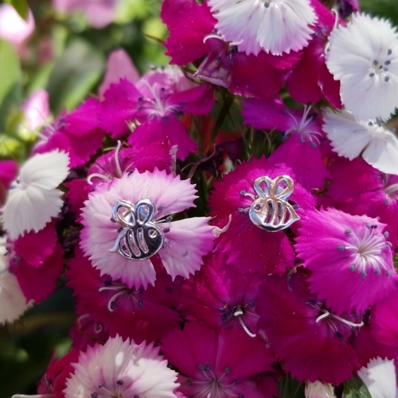 🔥Jewelry BLOWOUT🔥 - Picture 6 of 7